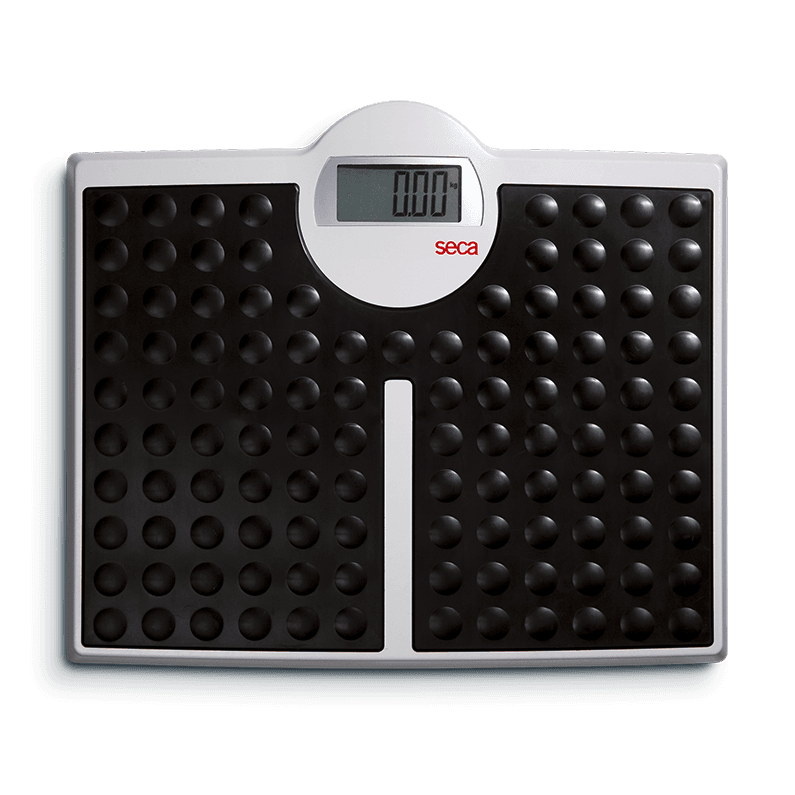 seca 813 Personal Flat Scale with Large Platform