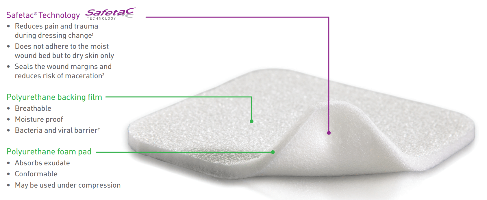 Mepilex Foam Dressing