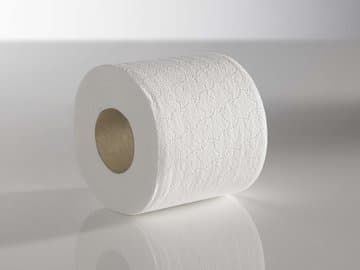 Recycled Toilet Tissue