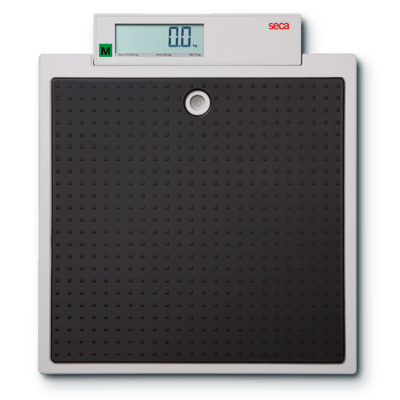 seca 875 | Flat Scale | Class III | Portable