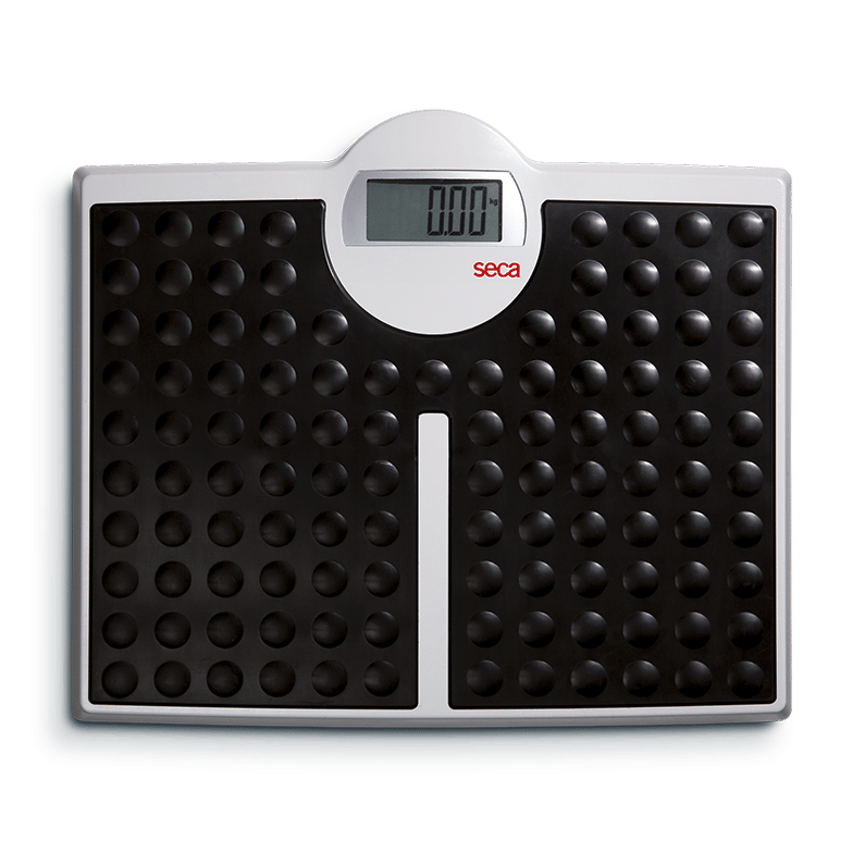 seca 813 Robusta | Personal Flat Scale | Large Platform