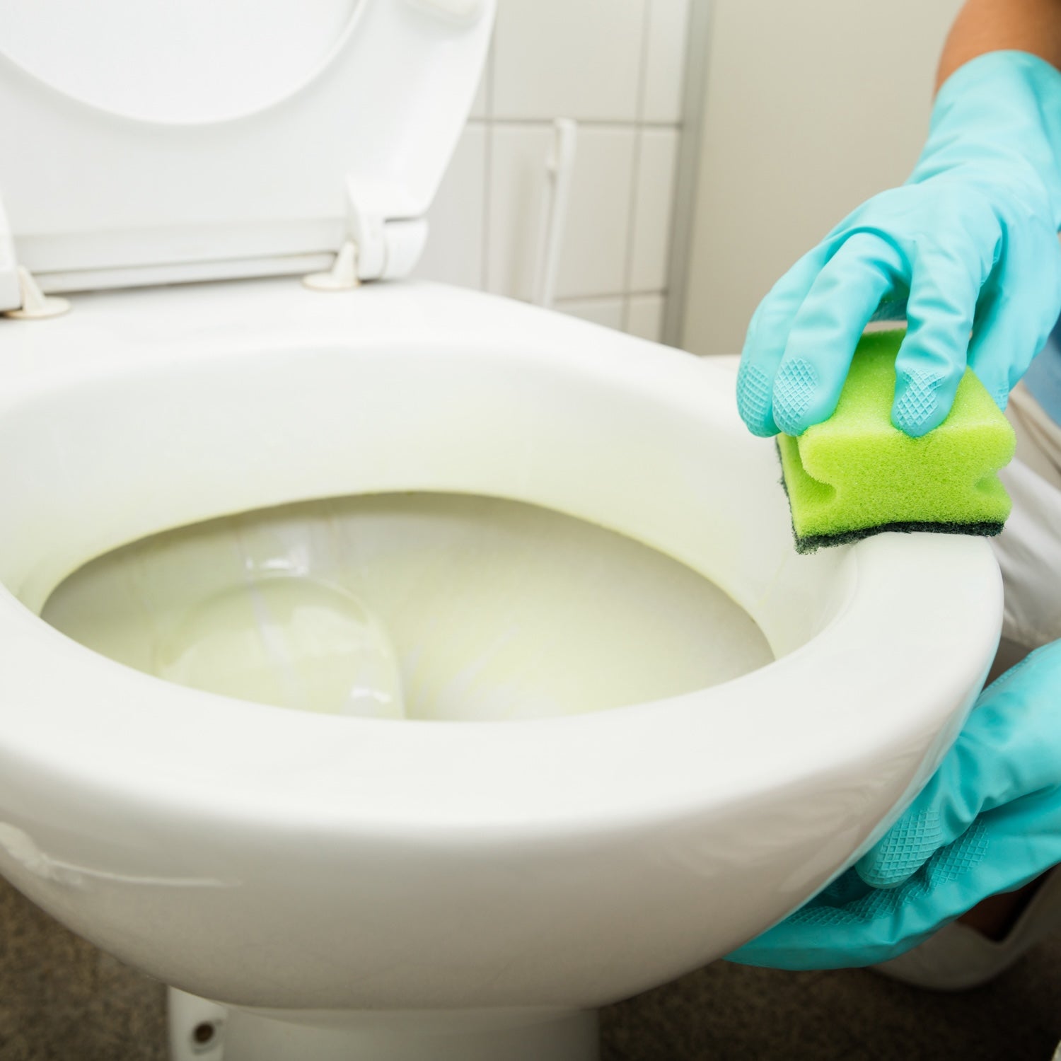 Mr Kleen Toilet Cleaner