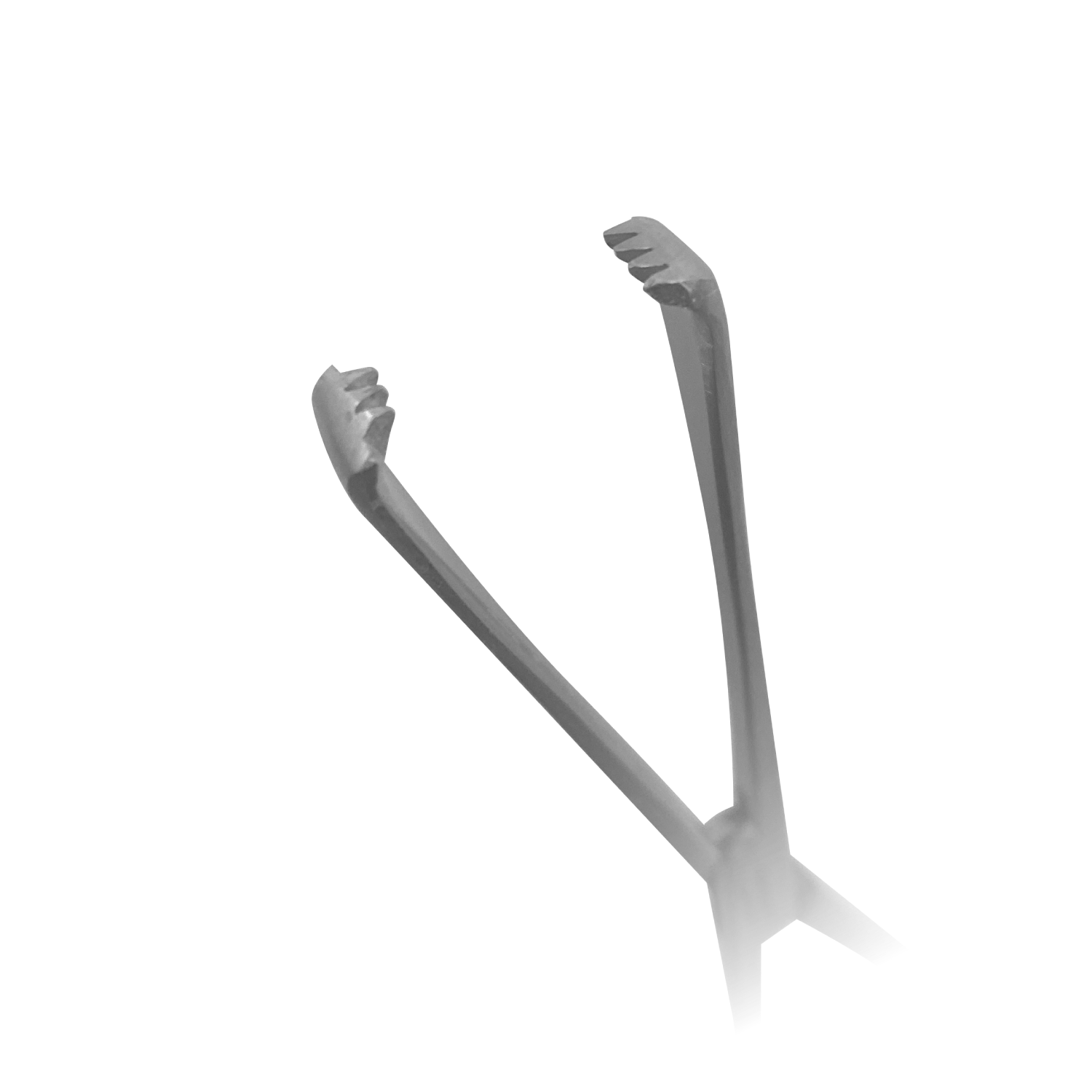 Teales Vulsellum Forceps | Straight