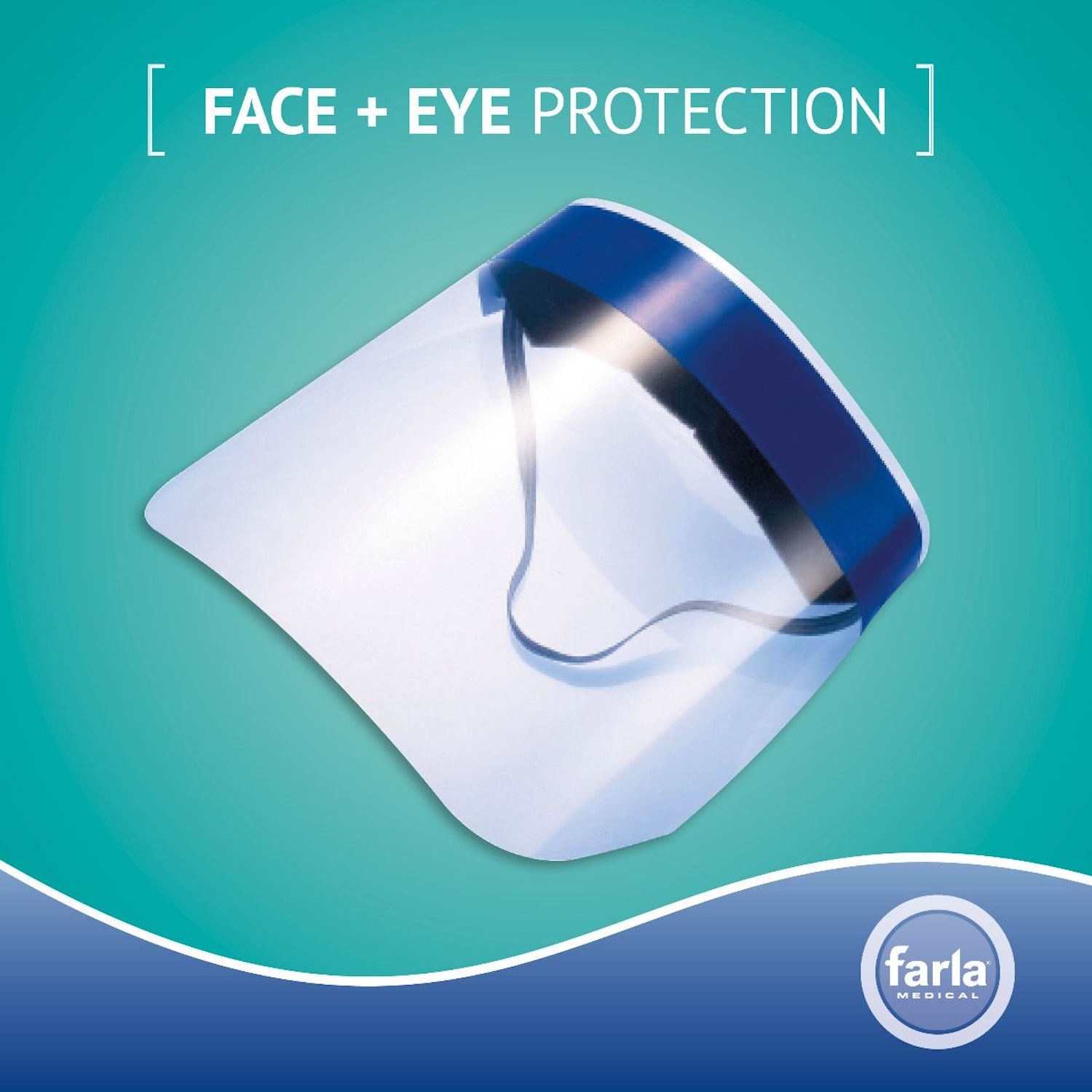Face Shield