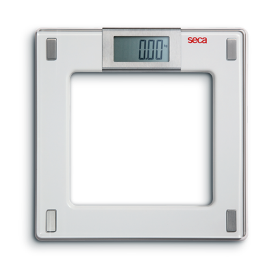 seca 807 Aura | Personal Flat Scale