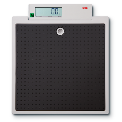 seca 875 | Flat Scale | Class III | Portable