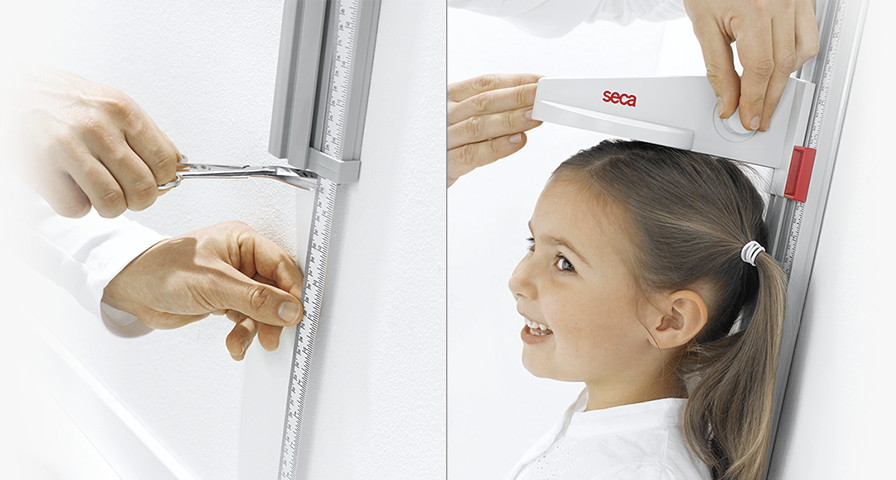 seca 216 | Stadiometer | Wall Mounted | Mechanical