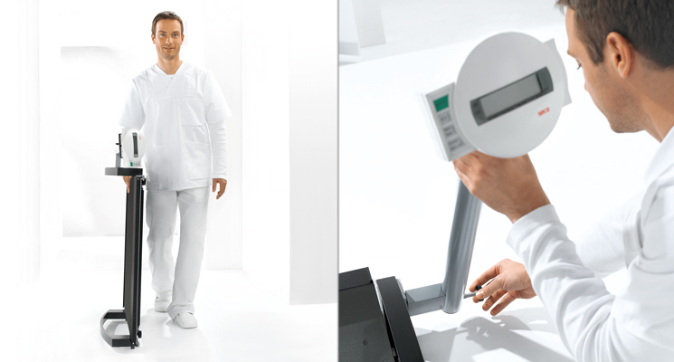 seca 665 | Wheelchair Scale | Class III | Side Rails | Wireless