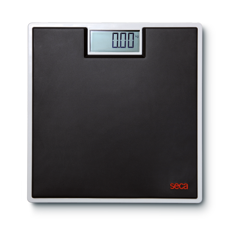 seca 803 Clara | Personal Flat Scale